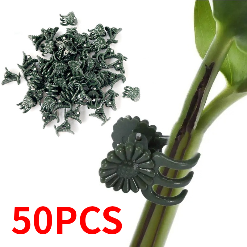 50 szt. 5-ramiennych ciemnozie – Tie Clip Set recenzja i cena