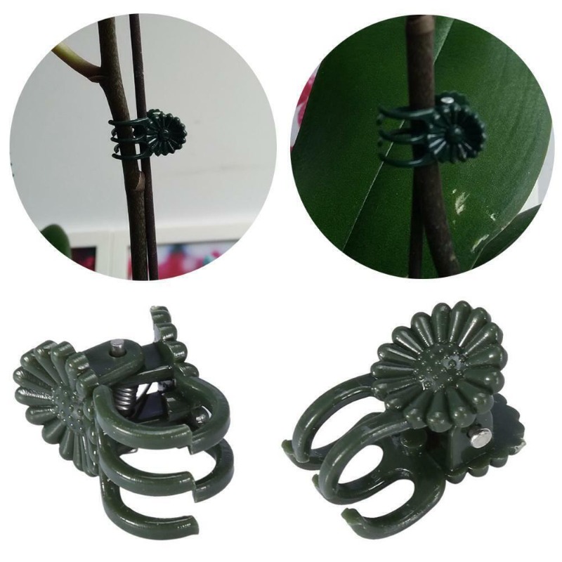 50 szt. 5-ramiennych ciemnozie – Tie Clip Set recenzja i cena